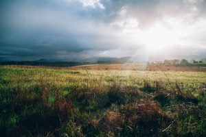 Green belt land