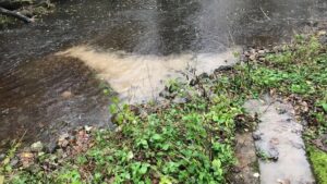 Deepdale Beck sewage