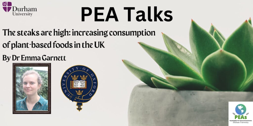 Poster for PEA Talk at Durham University